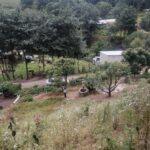 hill undisturbed